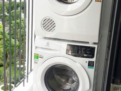 Iris Garden, Vietnam Iris Garden, Vietnam