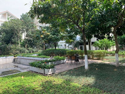 Mailand Hanoi City, Vietnam Mailand Hanoi City, Vietnam