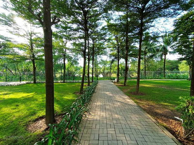 Valora Fuji, Vietnam Valora Fuji, Vietnam