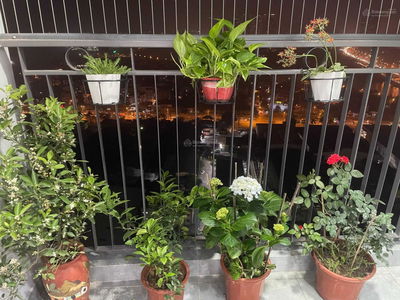 Green Park Tran Thu Do, Vietnam Green Park Tran Thu Do, Vietnam