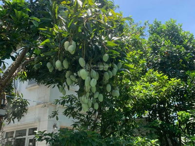 Mailand Hanoi City, Vietnam Mailand Hanoi City, Vietnam