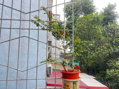 Housing in Co Loa, Vietnam Housing in Co Loa, Vietnam