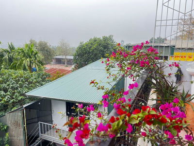 Gehäuse In Co Loa, Vietnam Gehäuse In Co Loa, Vietnam