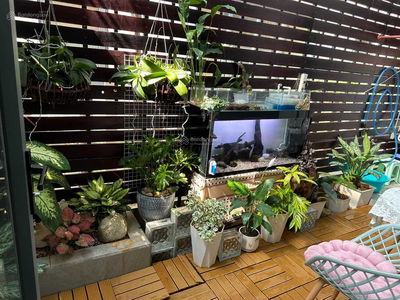 Sim City, Vietnam Sim City, Vietnam