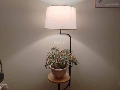 TSG Lotus Sai Dong, Vietnam TSG Lotus Sai Dong, Vietnam