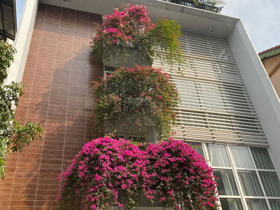 Alojamiento en Hanoi, Vietnam Alojamiento en Hanoi, Vietnam