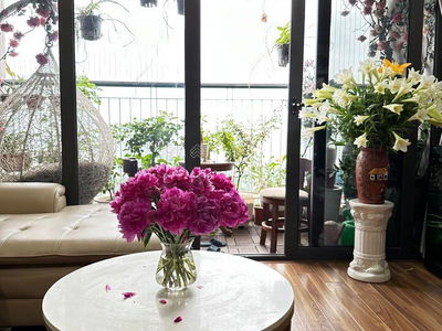 Bohemia Residence, Vietnam Bohemia Residence, Vietnam