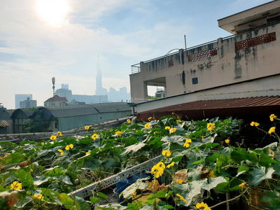 Alojamiento en Ho Chi Minh City, Vietnam Alojamiento en Ho Chi Minh City, Vietnam