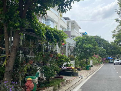 Jamona Golden Silk, Vietnam  Jamona Golden Silk, Vietnam