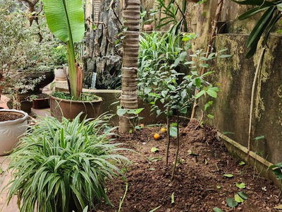 Жилье в Hanoi, Vietnam Жилье в Hanoi, Vietnam