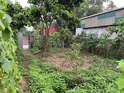 Housing in Hanoi, Vietnam Housing in Hanoi, Vietnam