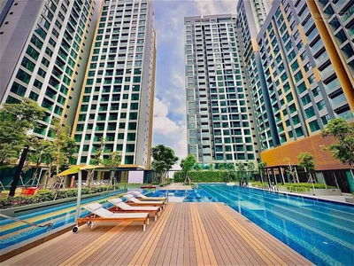 Zenity, Vietnam Zenity, Vietnam