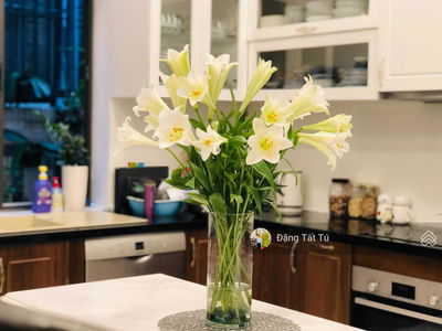 Khu đô thị Lakeview City, Vietnam Khu đô thị Lakeview City, Vietnam