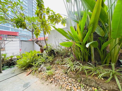 Жилье в Hanoi, Vietnam Жилье в Hanoi, Vietnam