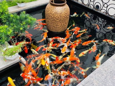 Vinhomes The Harmony, Vietnam Vinhomes The Harmony, Vietnam