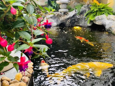 Vinhomes Ocean Park Gia Lam, Vietnam Vinhomes Ocean Park Gia Lam, Vietnam