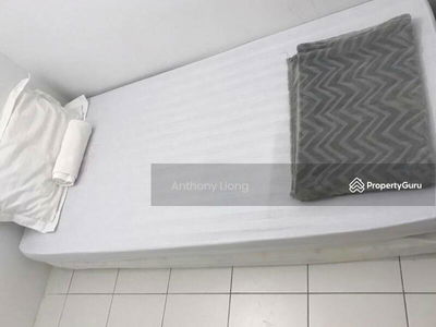 The Clovers, Malaysia The Clovers, Malaysia