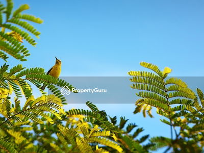 Alila2, Malaysia Alila2, Malaysia