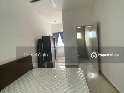 Rimbayu starling, Malaysia Rimbayu starling, Malaysia