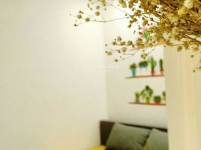 Vung Tau Melody, Vietnam Vung Tau Melody, Vietnam