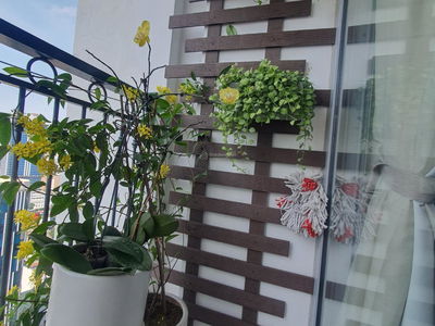 Vinhomes Nguyen Chi Thanh, Vietnam Vinhomes Nguyen Chi Thanh, Vietnam