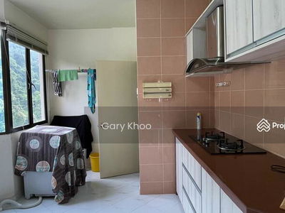 Miami Green, Malaysia Miami Green, Malaysia