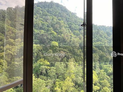 Miami Green, Malaysia Miami Green, Malaysia