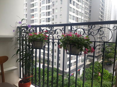 Sunshine Garden, Vietnam Sunshine Garden, Vietnam