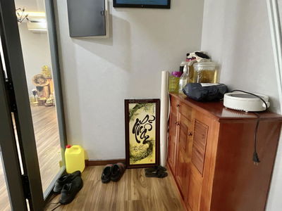 Topaz Twins, Vietnam Topaz Twins, Vietnam