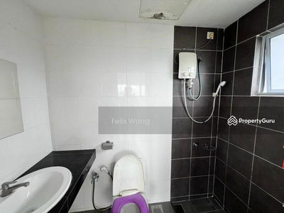 Koi Prima, Malaysia Koi Prima, Malaysia