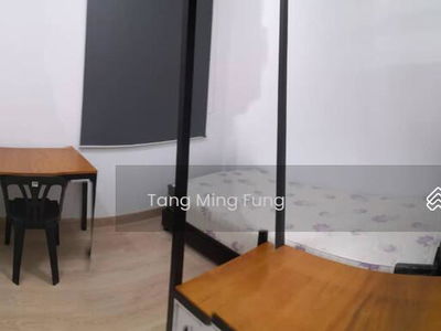 The Olive, Malaysia The Olive, Malaysia