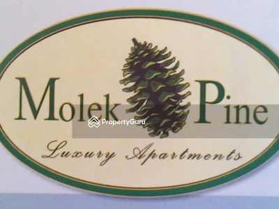 Molek Pine, Malaysia Molek Pine, Malaysia