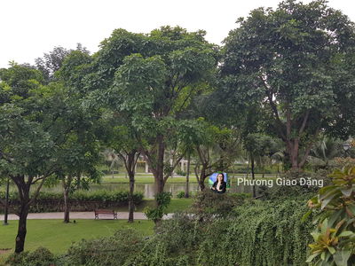 Sadora Sala, Vietnam  Sadora Sala, Vietnam