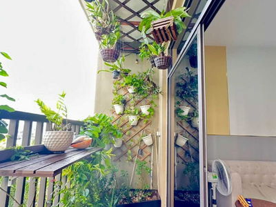 Jamila Khang Dien, Vietnam Jamila Khang Dien, Vietnam