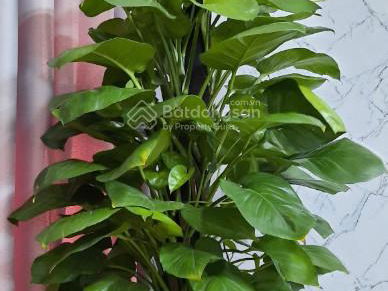 Sài Gòn Gateway, Vietnam Sài Gòn Gateway, Vietnam