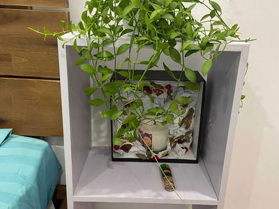 Căn hộ D’Lusso, Vietnam Căn hộ D’Lusso, Vietnam