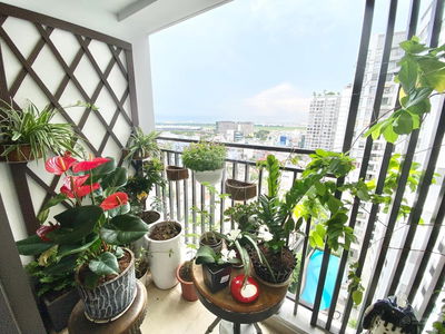 Botanica Premier, Vietnam Botanica Premier, Vietnam