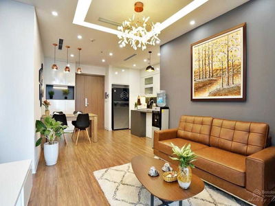 The Golden Armor, Vietnam The Golden Armor, Vietnam