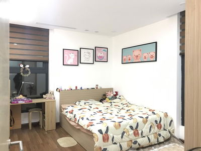 The Golden Armor, Vietnam The Golden Armor, Vietnam