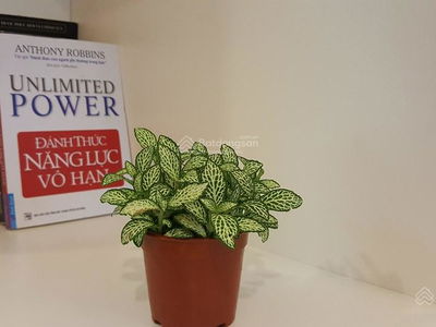 Жилье в Hanoi, Vietnam  Жилье в Hanoi, Vietnam