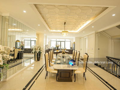 The Golden Armor, Vietnam The Golden Armor, Vietnam