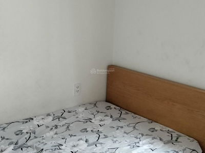 The Art, Vietnam The Art, Vietnam