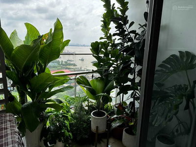 River Panorama, Vietnam River Panorama, Vietnam