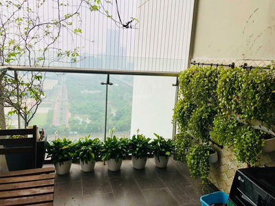 Thăng Long Number One, Vietnam Thăng Long Number One, Vietnam