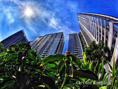 Kingdom 101, Vietnam Kingdom 101, Vietnam