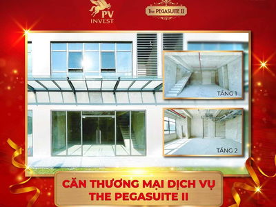The Pegasuite 2, Vietnam  The Pegasuite 2, Vietnam