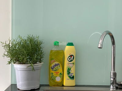 Jamila Khang Dien, Vietnam Jamila Khang Dien, Vietnam