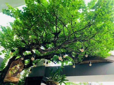 Gehäuse In Di An, Vietnam Gehäuse In Di An, Vietnam