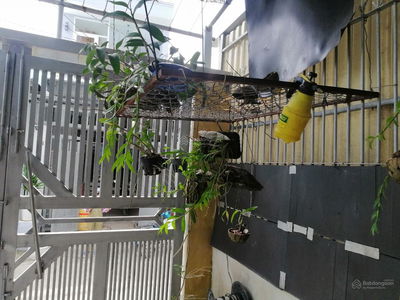 Housing in Nha Be, Vietnam Housing in Nha Be, Vietnam