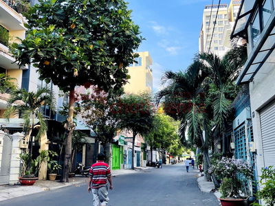 Housing in Ho Chi Minh City, Vietnam Housing in Ho Chi Minh City, Vietnam